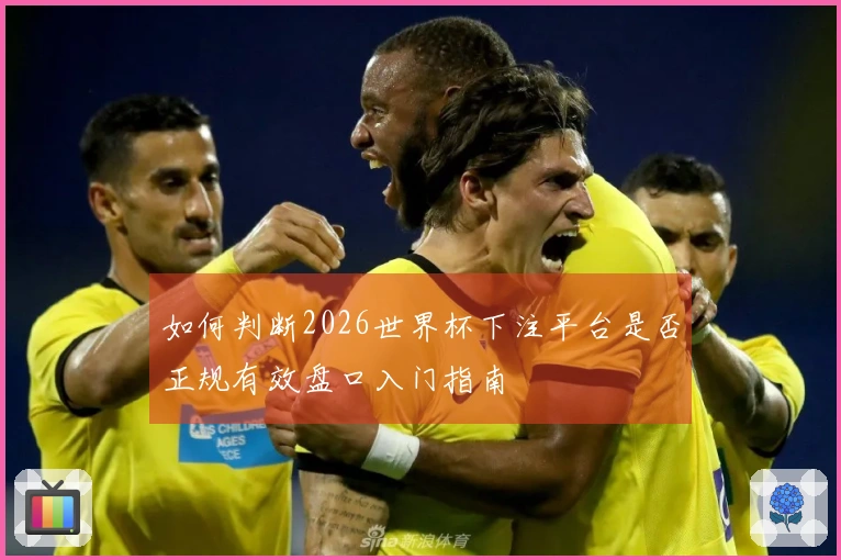 如何判断2026世界杯下注平台是否正规有效盘口入门指南