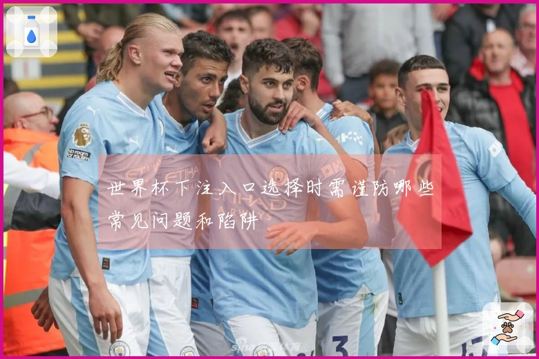世界杯下注入口选择时需谨防哪些常见问题和陷阱