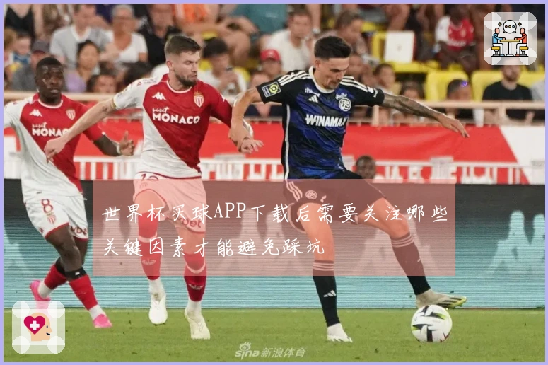 世界杯买球APP下载后需要关注哪些关键因素才能避免踩坑