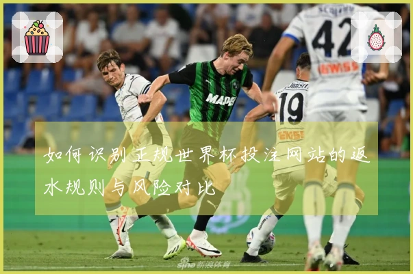 如何识别正规世界杯投注网站的返水规则与风险对比