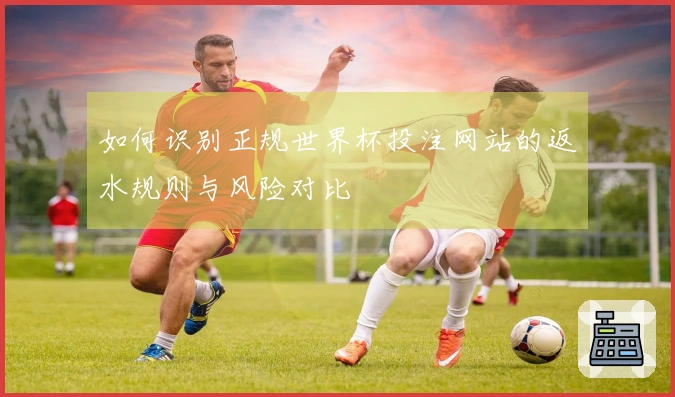 如何识别正规世界杯投注网站的返水规则与风险对比
