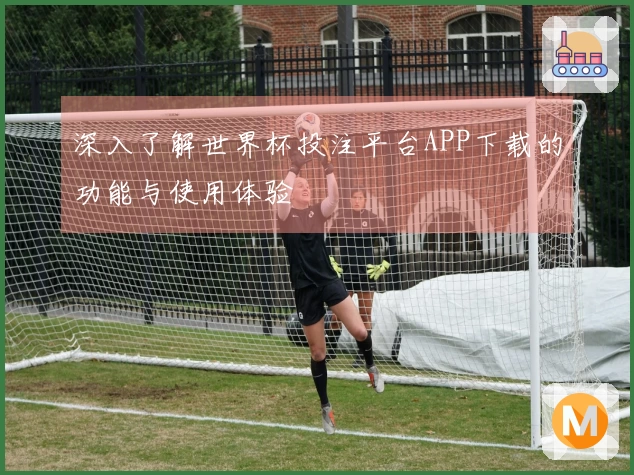 深入了解世界杯投注平台APP下载的功能与使用体验