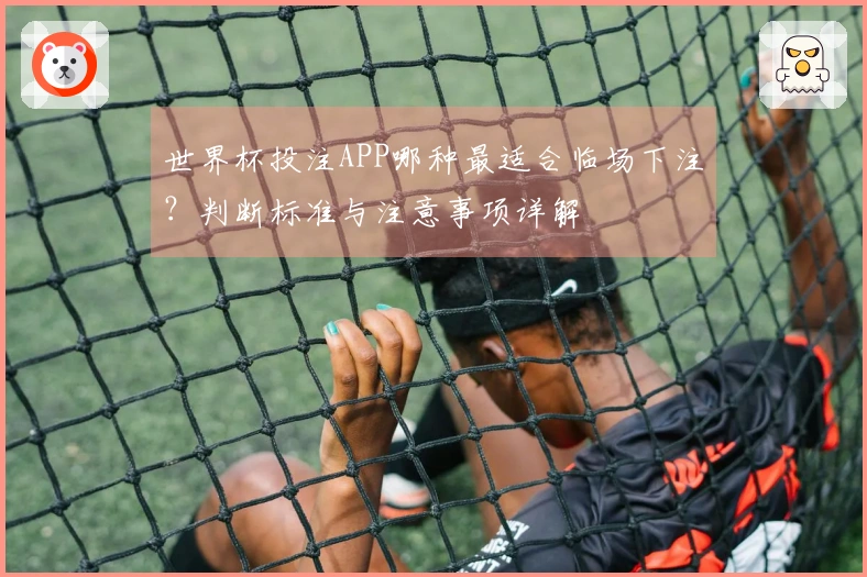 世界杯投注APP哪种最适合临场下注？判断标准与注意事项详解