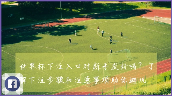世界杯下注入口对新手友好吗?了解下注步骤和注意事项助你避坑