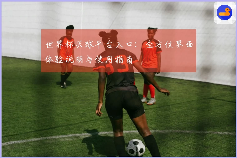 世界杯买球平台入口：全方位界面体验说明与使用指南
