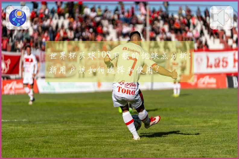 世界杯买球iOS下载的优缺点分析：新用户该如何选择和使用？