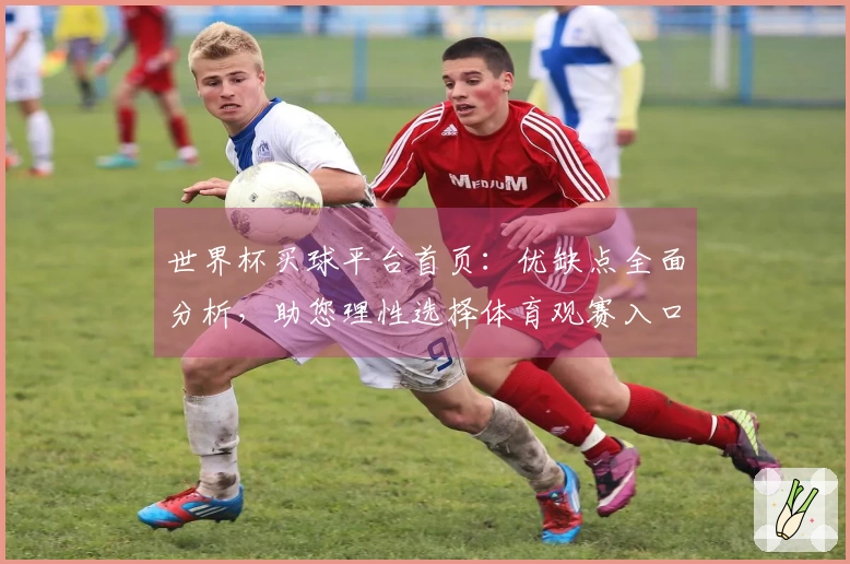 世界杯买球平台首页：优缺点全面分析，助您理性选择体育观赛入口