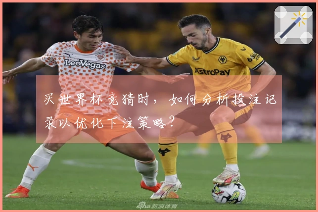 买世界杯竞猜时,如何分析投注记录以优化下注策略?