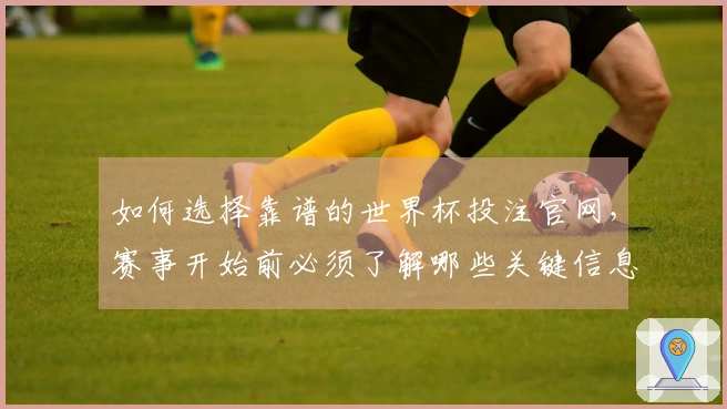 如何选择靠谱的世界杯投注官网,赛事开始前必须了解哪些关键信息