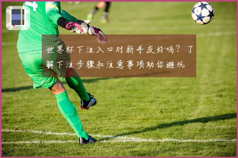 世界杯下注入口对新手友好吗？了解下注步骤和注意事项助你避坑