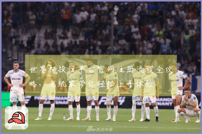 世界杯投注平台官网注册流程全攻略,老玩家带你轻松上手体验